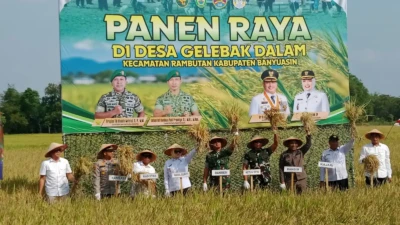 Sinergi Pemkab Banyuasin dan TNI Dorong Hasil Panen Raya Desa Gelebak Dalam Tembus 8,4 Ton per Hektar